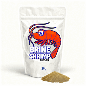 Brine Shrimp Eggs 20g