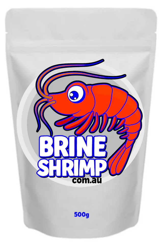 Brine Shrimp Eggs 500g