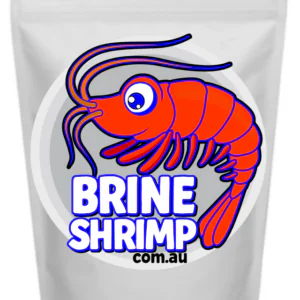Brine Shrimp Eggs