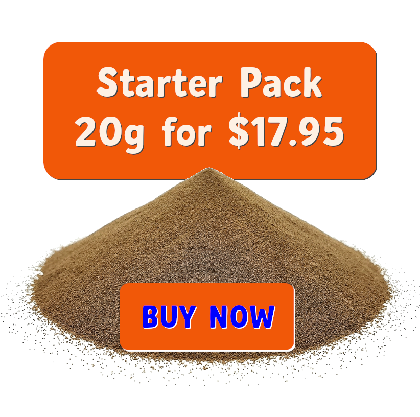 20g Brine Shrimp Eggs