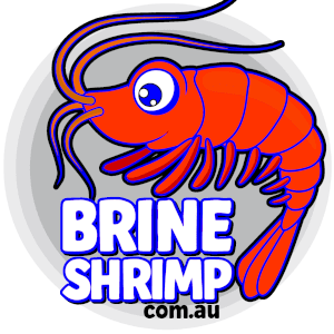 BUY Brine Shrimp Australia