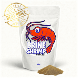Best Buy Brine Shrimp Eggs