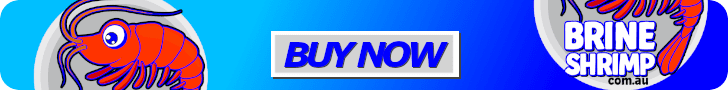 buy Brine Shrimp Australia