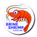 Buy Brine Shrimp Eggs Australia